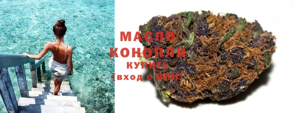 дживик Бронницы