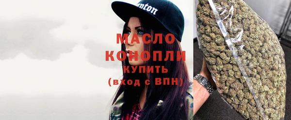 дживик Бронницы