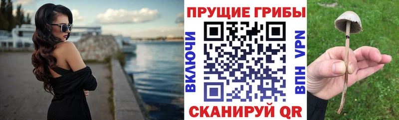 Купить закладки  Россошь  Галлюциногенные грибы ЛСД 